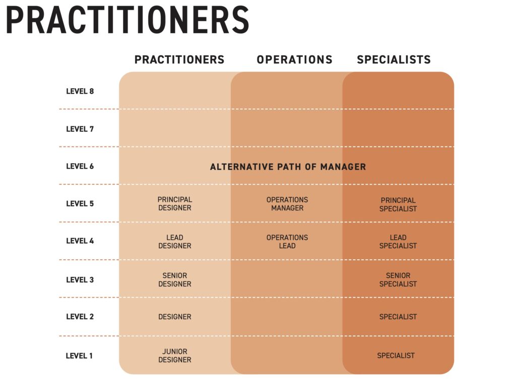 Practitioners in design