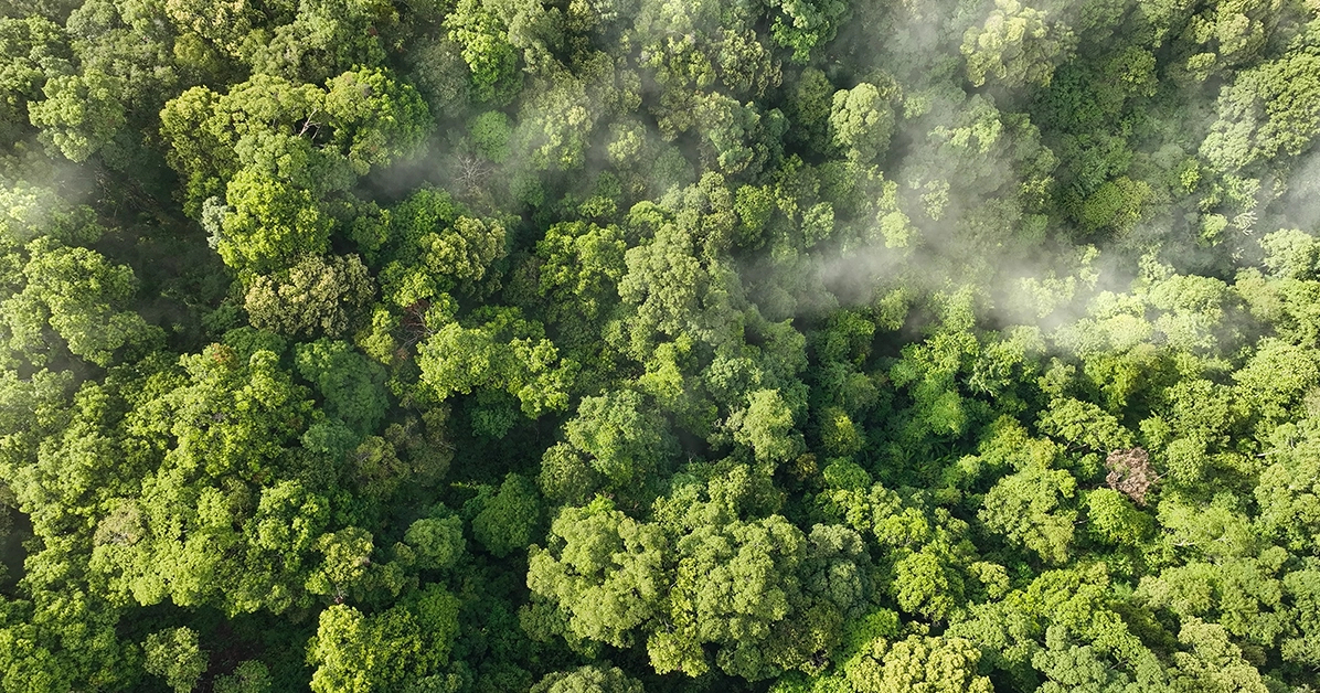 Climate Change Requires Urgent Action From Leaders. Here's How.